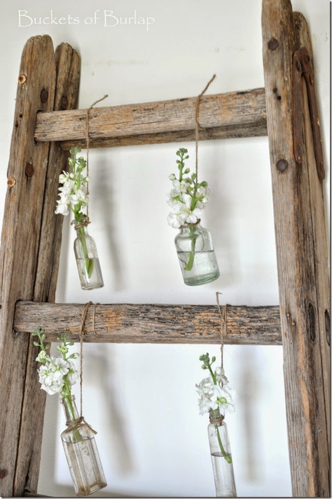 Spring Ladder 2