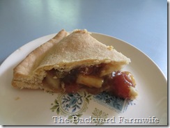 Apple Raisin Pie - The Backyard Farmwife