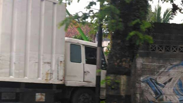 Diduga Alami Rem Blong, Truk Box Gasak Pohon dan Tiang Listrik