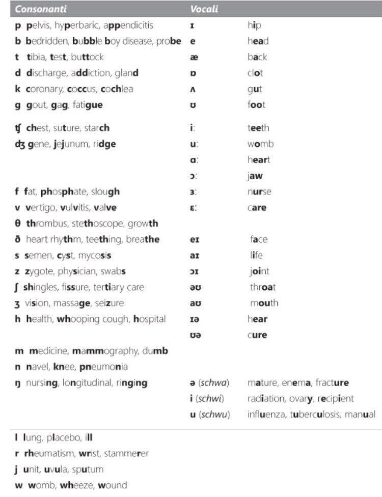 Alexs Phonetic Thoughts Oet Pronunciation