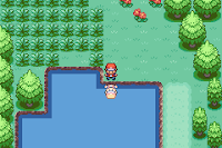 Pokemon The Leola Project Summer Screenshot 05