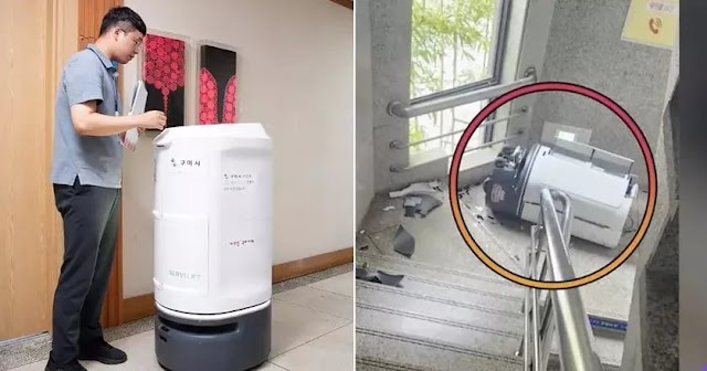 Gempar! Robot di Korea Selatan "Bunuh Diri" Gegara Stress Kerja Tanpa Libur?