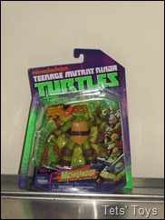 Michelangelo 2012