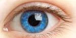 Facts about the human eyes 