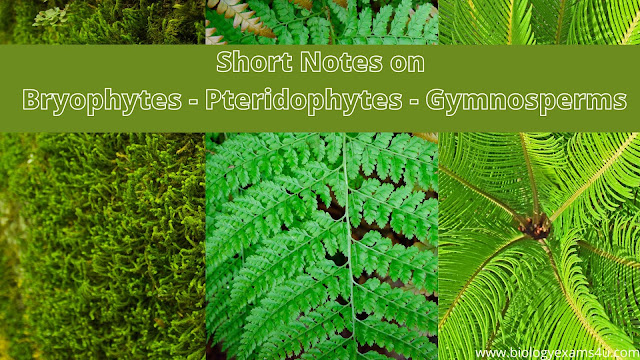 Short Notes on Bryophytes - Pteridophytes - Gymnosperms