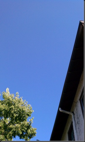 IMAG0836