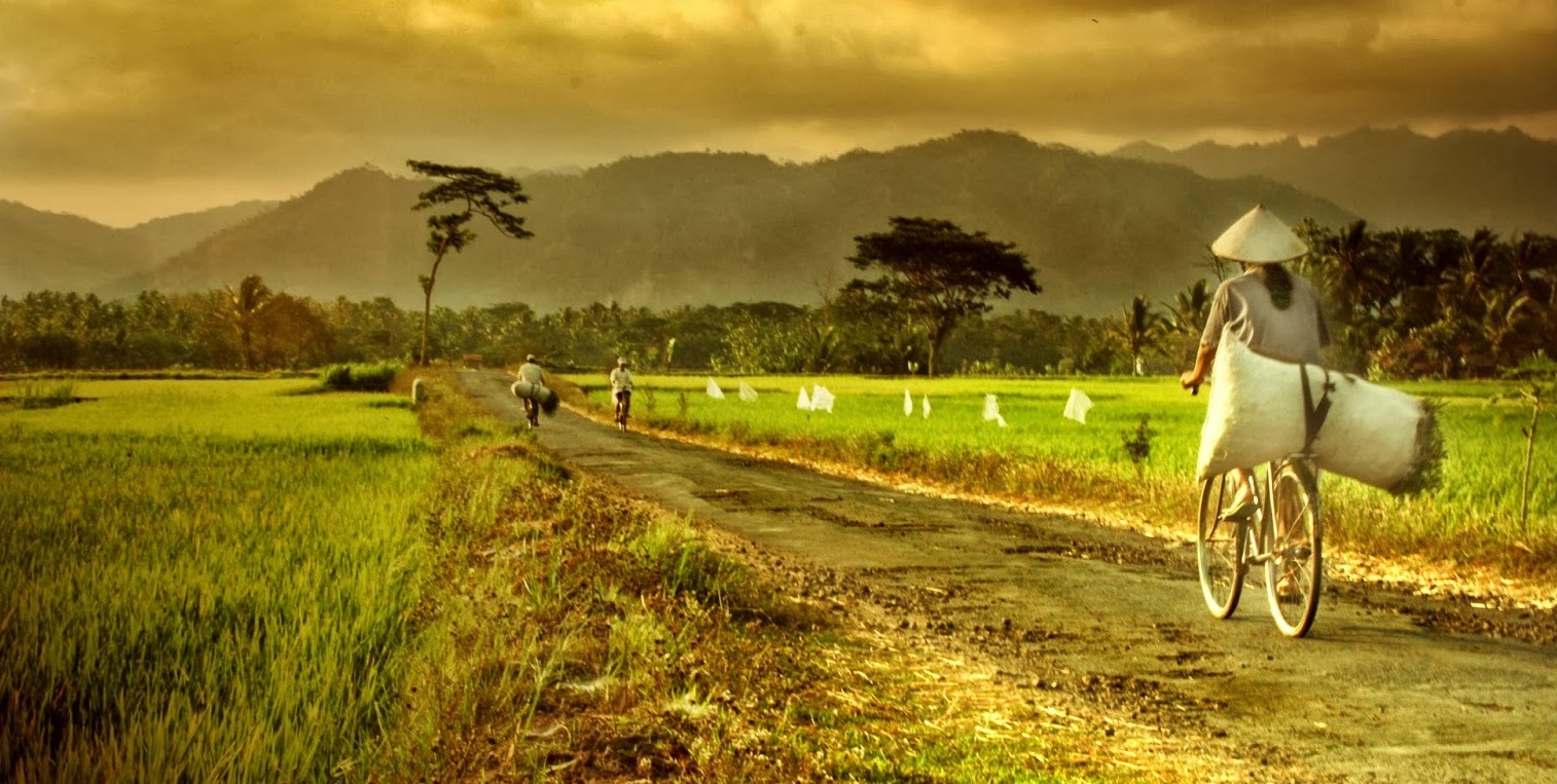 Pendamping Desa  4 BIDANG PENYELENGARAAN KEGIATAN DI DESA 