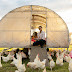 The Vital Role of Entrepreneurship in Poultry Farming