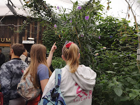 Butterfly enclosure at London Zoo