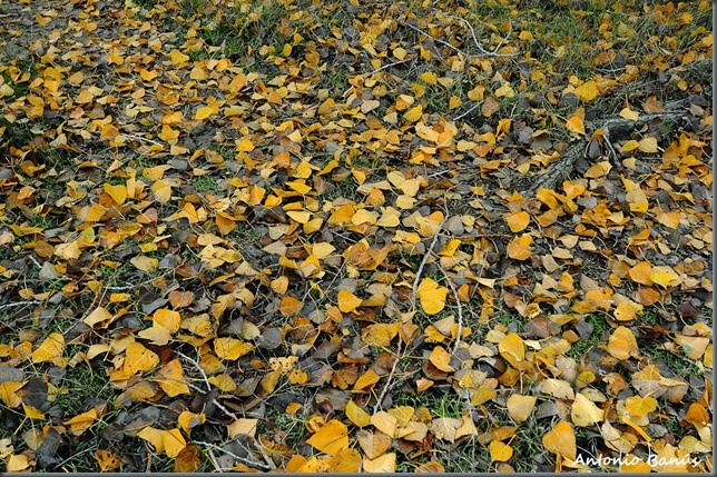 6_DSC7305x1