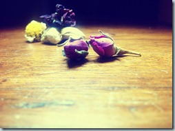 BeFunky_Instant_1