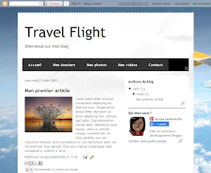 Travel Flight Theme