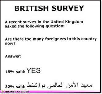 survey