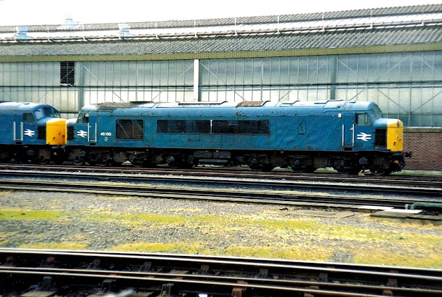 photo of peak uk diesel locomotive 45133 seen at whitemoor yard cambridgeshire in 1989