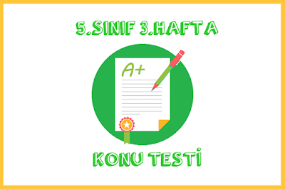 5. Sınıf 3. Hafta Konu Tarama Testi