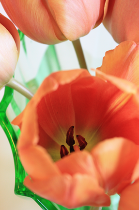 blomst