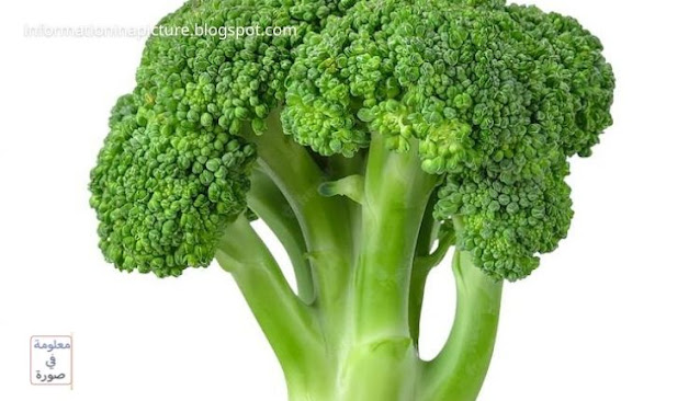 Broccoli is one of the foods that are good for the body’s immunity