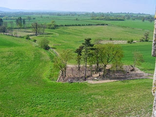 Croome+Park+Evergreen+Shrubbery