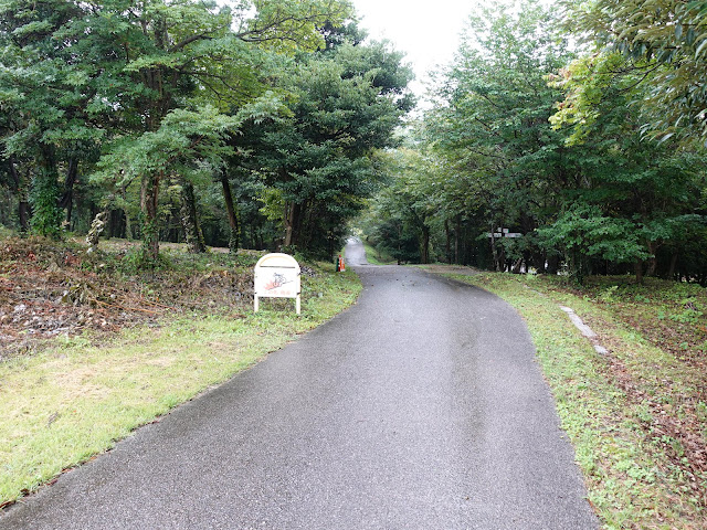 弥生の森の遊歩道