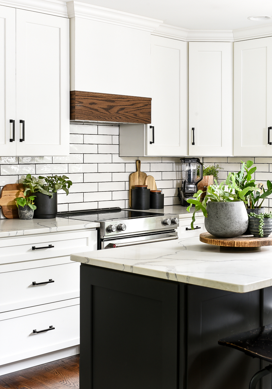 Kitchen decorated with plants