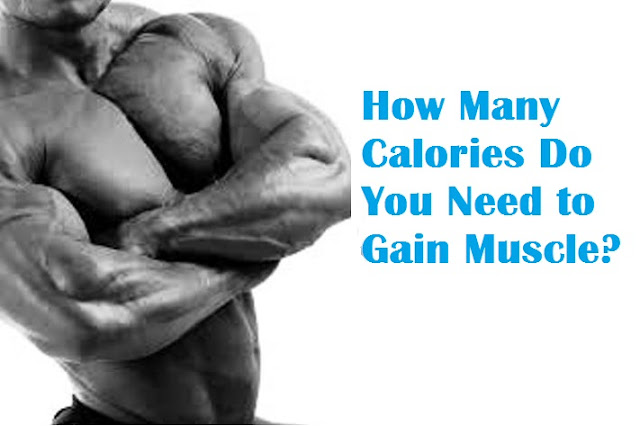 gain muscle mass