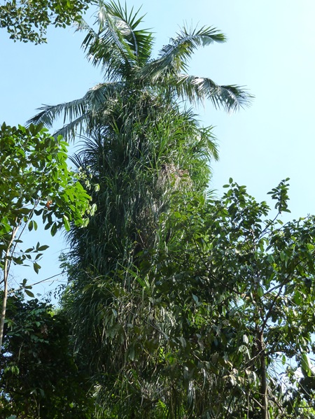 P1020564