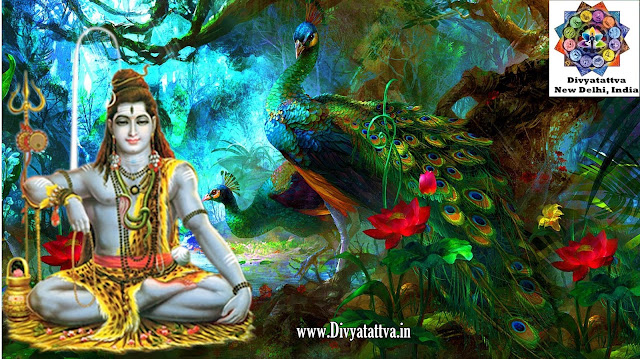 shiva photos mobile phone, shiva shakti pictures smartphones, desktop wallpapers hindu god lord shiva wallpaper backgground