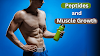 Peptides and Muscle Growth: A Comprehensive Review