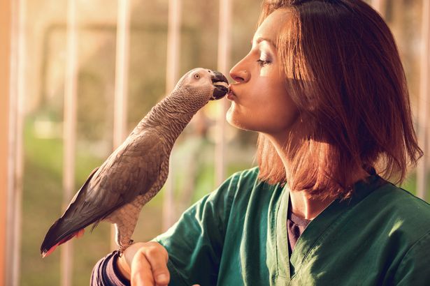 A woman kissing her pet parrot