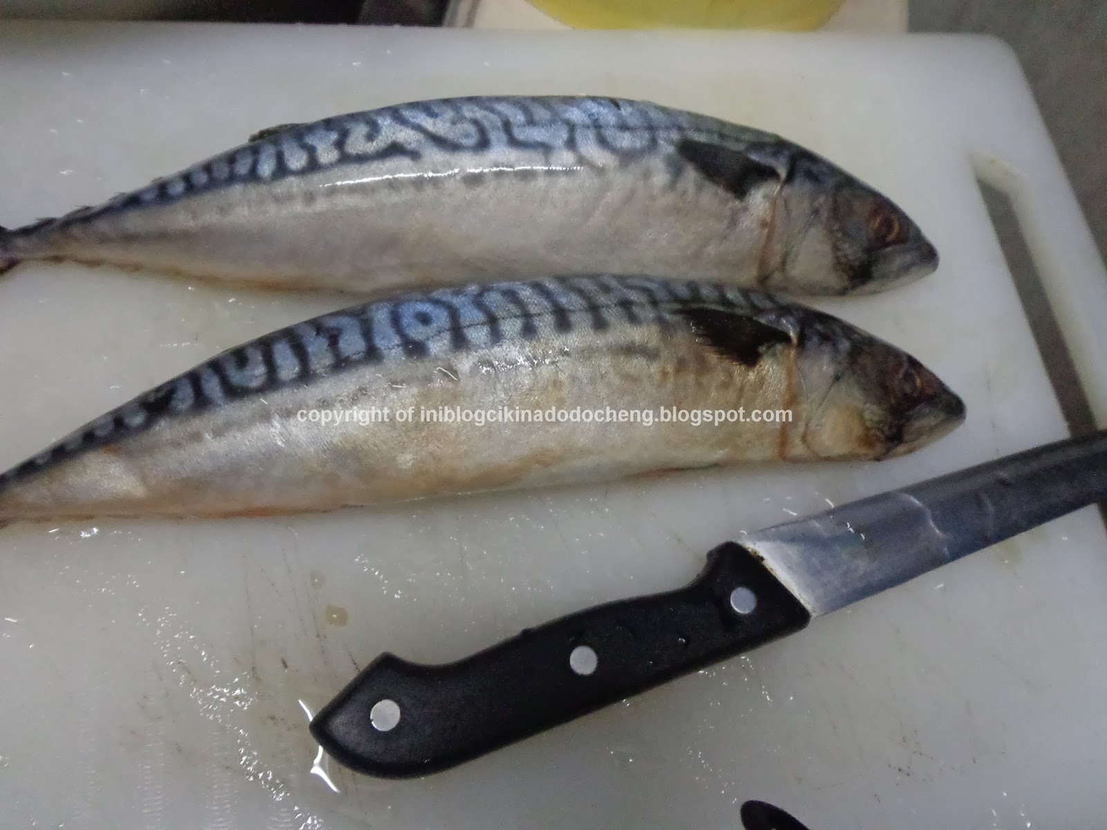 Blog cik ina: Ikan makarel goreng cili pun sodap ; Resepi 