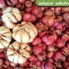 Bawang Merah Brebes Campur Bawang Putih 250g