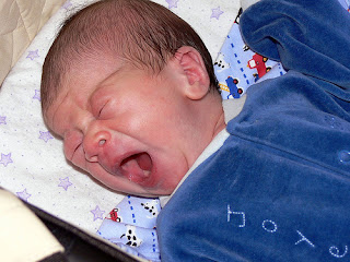 Image: Yawning - not crying - 8 days old, by jessicafm  / Jessica Merz, on Flickr