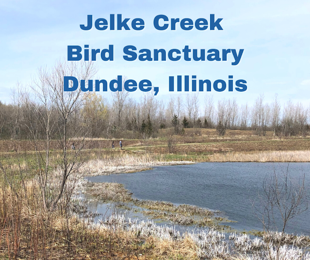 Thriving Restoration at Jelke Creek Bird Sanctuary in Dundee, Illinois treats visitors to a peaceful spot for hiking, birding, biking, horseback riding and fishing.