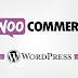 Popular Woocommerce Wordpress Plugin Patches Critical Vulnerability