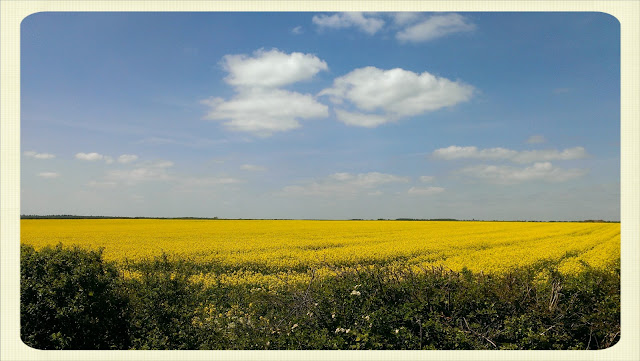 Oxfordshire sunshine Cream Tea Queen