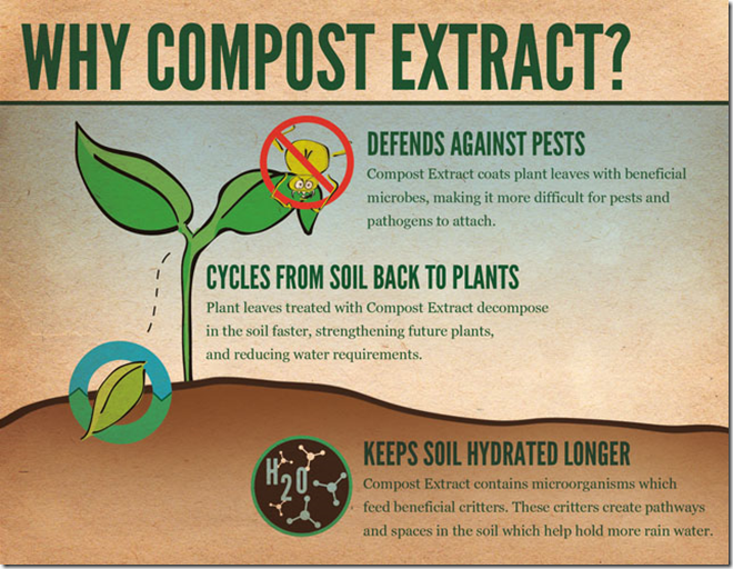 Compost Tea, Bio char, Leaching, Carbon Sink & Carbon Sequestration, Azotobacter, Azospirillum,  Mycorrhizal Fungi and Plants, Micro-nutrients and Macro-nutrients in soil