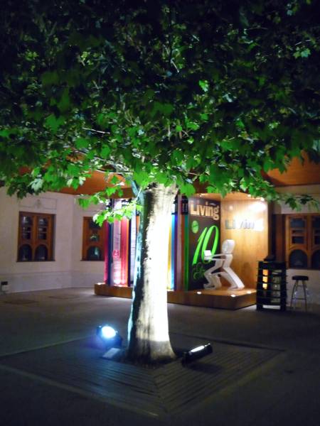 Árbol iluminado