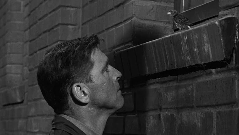 Der Gefangene von Alcatraz 1962 englische übersetzung