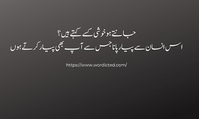 Husband Wife Quotes in Urdu With Images
