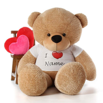 adorable personalized Valentine's Day Teddy Bear