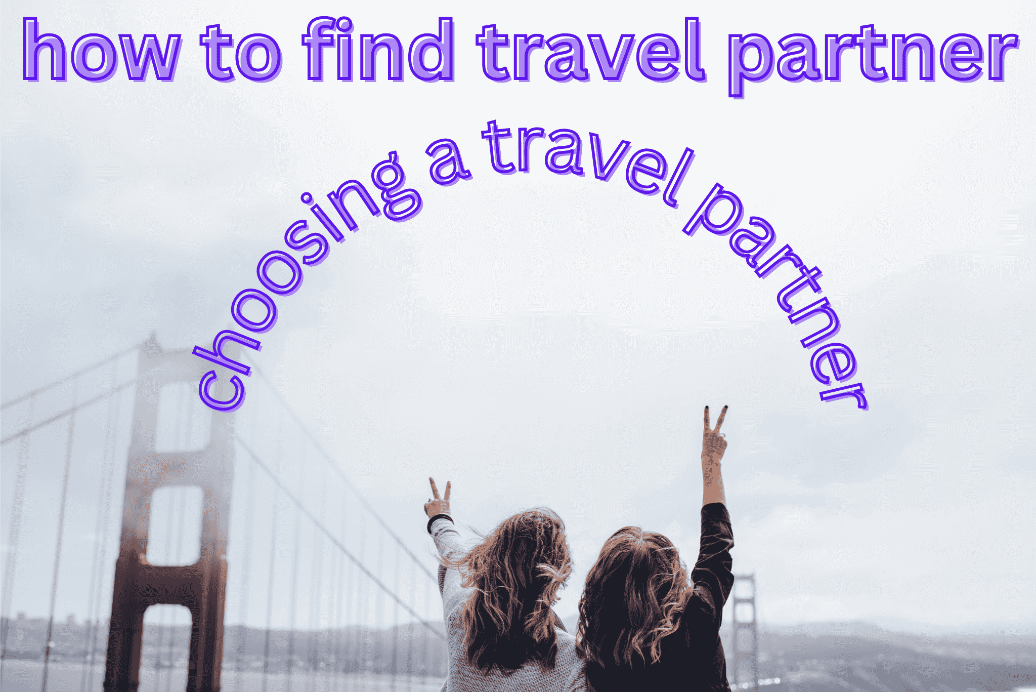 travel partner search