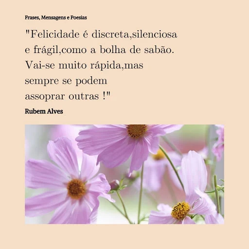 Felicidade é Discreta,Silenciosa e Frágil
