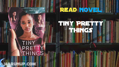Read Tiny Pretty Things Novel Full Episode