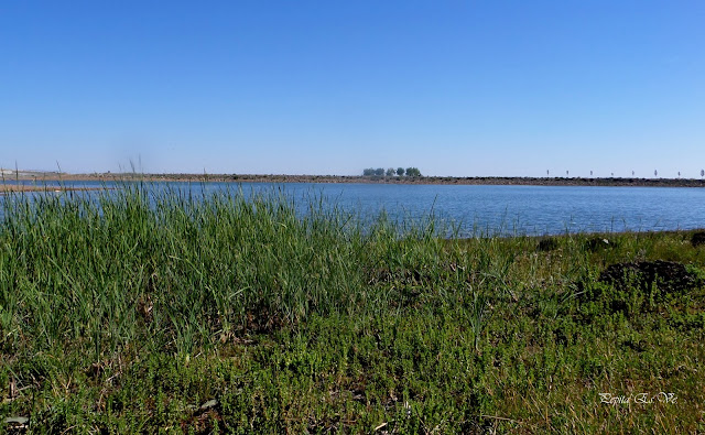 Pantano de Cogollos