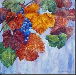 Autumn in the Vineyard