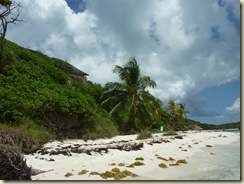 P1080951