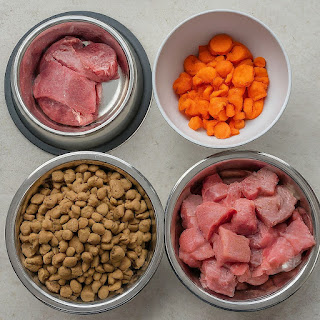 Diet Tips for Dogs