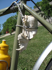 Mr. Bones