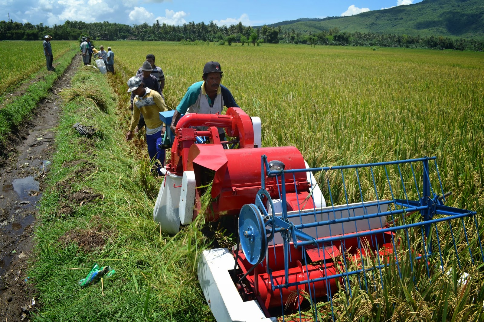 Demo Mesin Panen Padi  Santoso Advance Agricultural Machinery