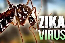 Kadinkes Papua Ajak Warga Cegah Virus Zika 